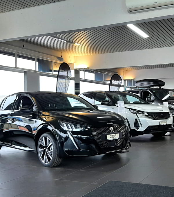 Carlo Steger concessionario Peugeot